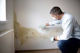 Signal Mountain, TN Mold Remediation Company